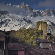 ALTERNATIVE WAYS DMC